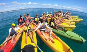 Cape Byron Kayaks 1