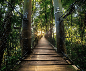 Hiking and Walking Trails 1