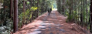 Northern Rivers Rail Trail